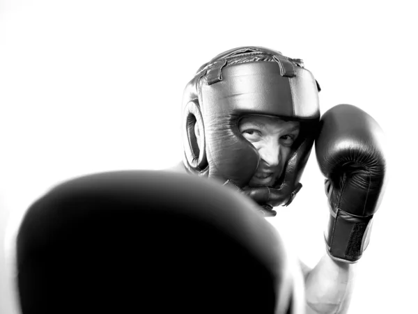 Strong aggressive boxer — Stock Photo, Image