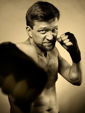 güçlü agresif boksör