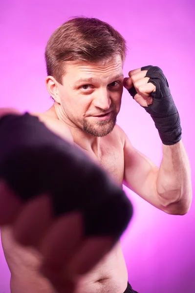Stark aggressiv boxare — Stockfoto