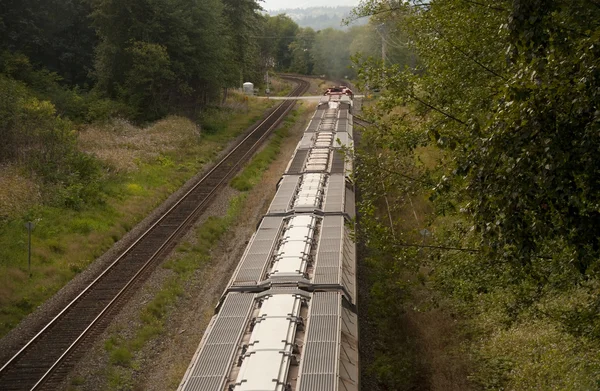 Tren de mercancías —  Fotos de Stock