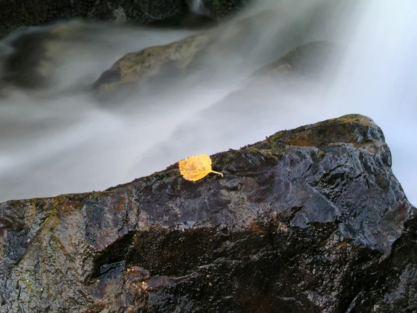 Bela água corrente — Fotografia de Stock