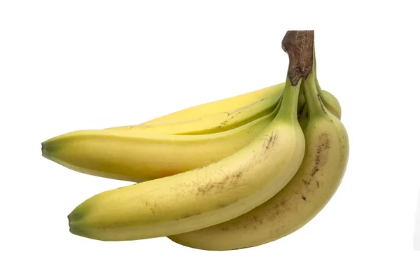 Frische Bananen — Stockfoto