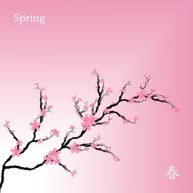 kiraz çiçekleri bahar