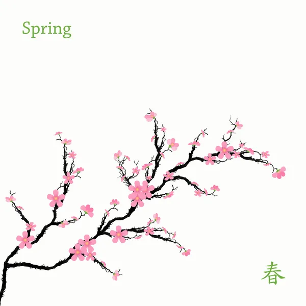 春の桜の花 — ストックベクタ