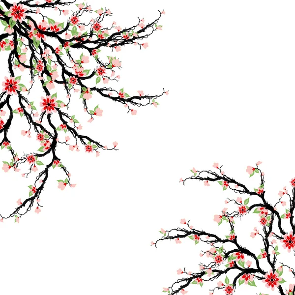 Cerisiers en fleurs arbre — Image vectorielle