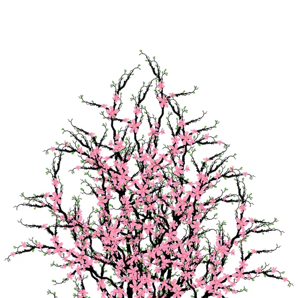 Árvore de flores de cereja —  Vetores de Stock