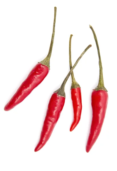 Fresh red chilli — Stock Photo, Image