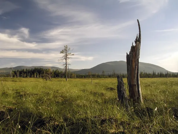 Natuurlandschap — Stockfoto