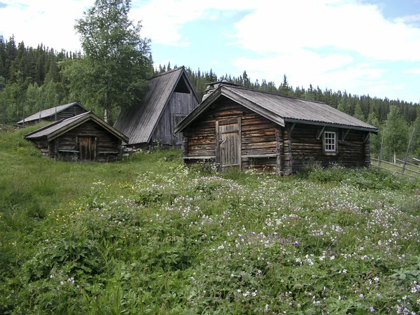 Landscape — Stock Photo, Image