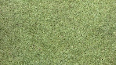 Golf Sahası arka plan