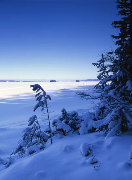 Paesaggio invernale — Foto Stock