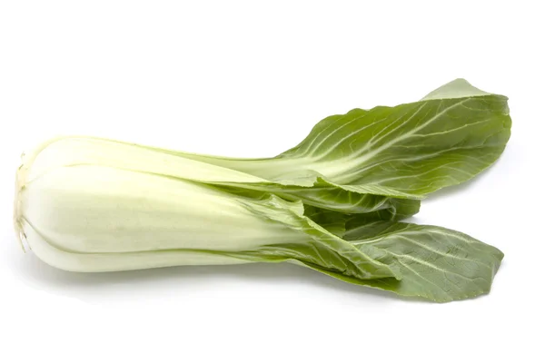 Chinese cabbage — Stock Photo, Image