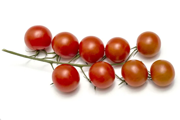 Eco Tomatoes — Stock Photo, Image