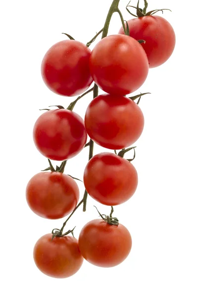 Eco tomater — Stockfoto