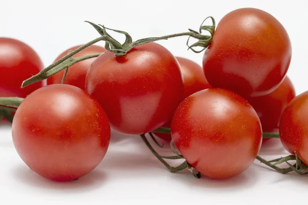 Eco Tomatoes — Stock Photo, Image