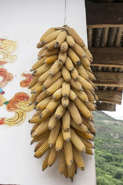 Dry corns — Stock Photo, Image