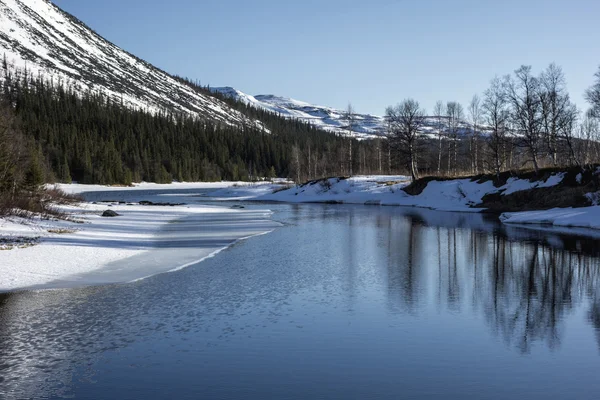 Naturlandschaft — Stockfoto