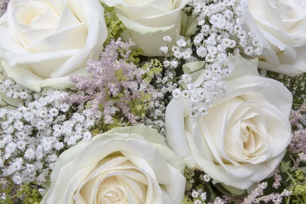 Άσπρα τριαντάφυλλα — Φωτογραφία Αρχείου