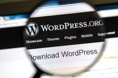WordPress web sitesi