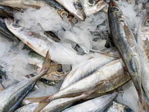 Sardinhas Frescas Num Mercado Peixe — Fotografia de Stock