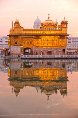 Amritsar 'daki Altın Tapınak, Punjab, Hindistan.