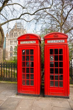 Doğal Tarih Müzesi dışında iki kırmızı telefon kulübesi. Londra