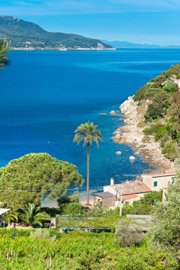 Forno beach, elba Adası.