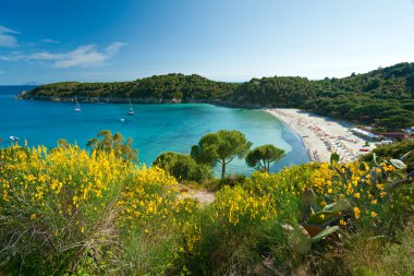 fetovaia beach, elba Adası. İtalya.