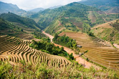 Kuzey Vietnamlılar peyzaj.