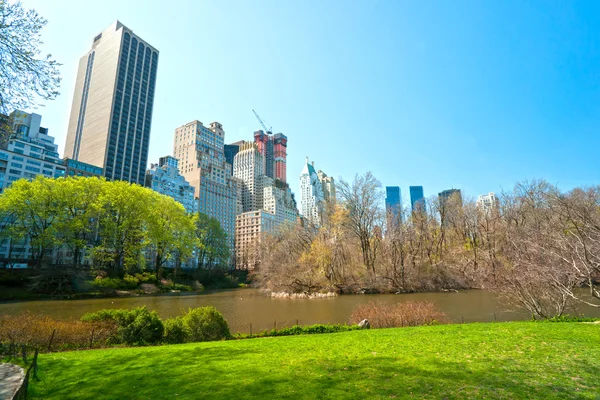 Central Park, Nueva York. Estados Unidos . — Foto de Stock