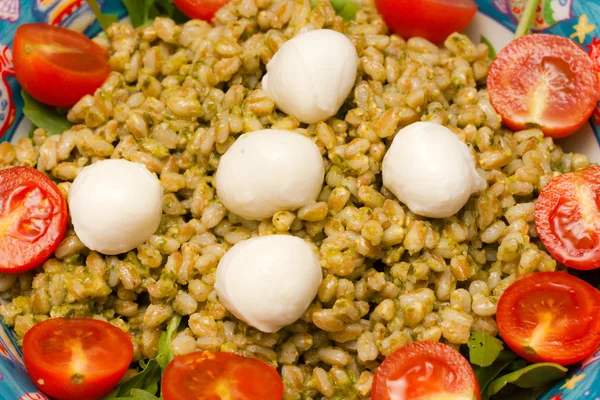 Caprese. Salade de tomates et mozzarella au basilic, au farro et — Photo