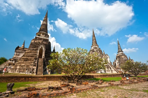 Verwoeste oude tempel van ayuthaya, thailand, — Stockfoto