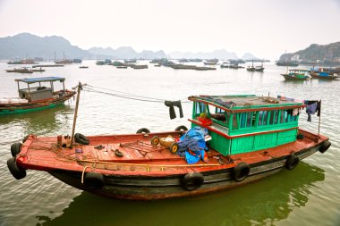 tekne kedi ba Adası, halong Körfezi, vietnam. UNESCO Dünya heritag