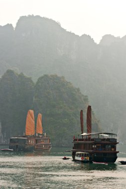 Halong bay, vietnam. UNESCO Dünya Mirası.