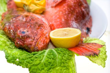 taze balık ile lahana ve limon ile.