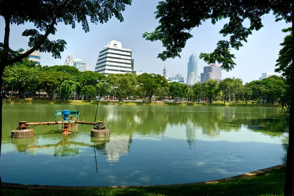 Lumpini Park, bangkok, Thailand. — Stockfoto