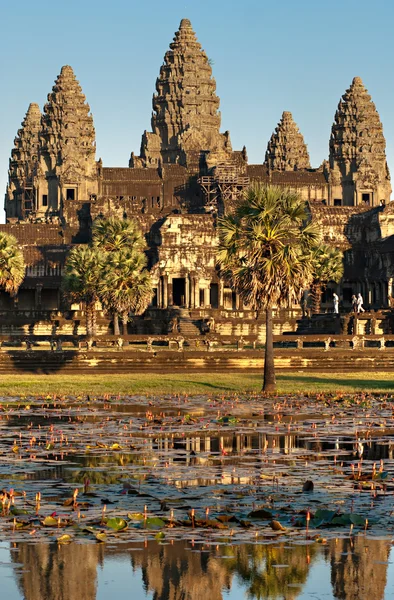 Angkor wat, siem oogsten, cambodia. — Stockfoto