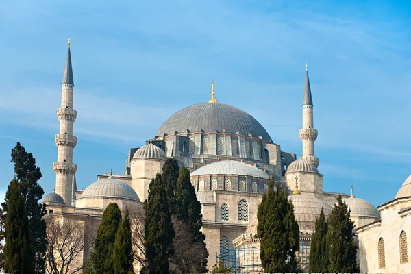 Süleymaniye Mosque , Istanbul, Turkey. — Φωτογραφία Αρχείου