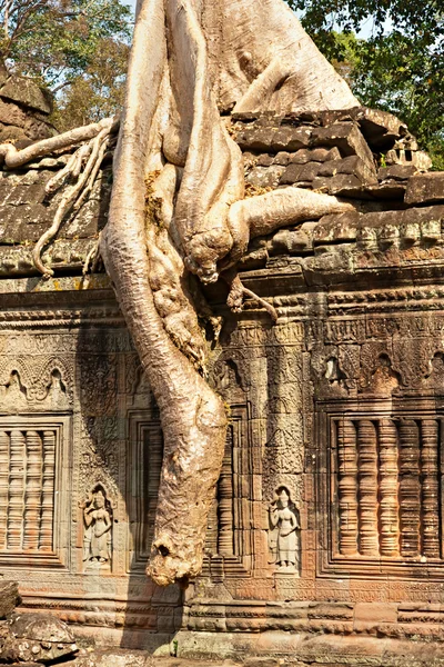 Angkor wat, sim reap, Kambodża. — Zdjęcie stockowe