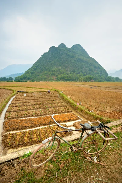 Paisagem norte-vietnamita . — Fotografia de Stock