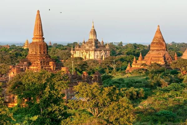 Bagan bei Sonnenuntergang, myanmar. — Stockfoto