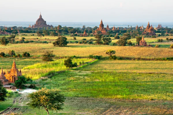 Bagan při západu slunce, myanmar. — Stock fotografie