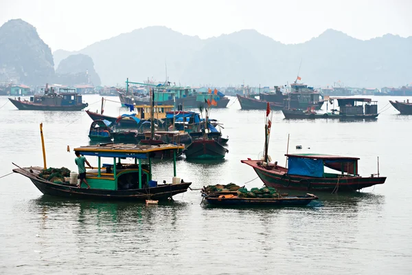 Halong bay, vietnam. UNESCO: s världsarvslista. — Stockfoto