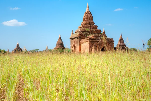 Bagan při západu slunce, myanmar. — Stock fotografie