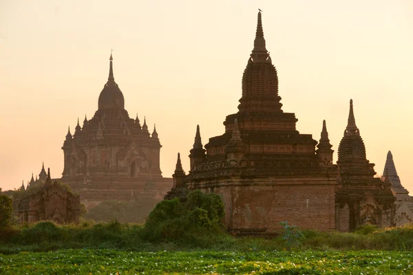 Bagan w zachód słońca, myanmar. — Zdjęcie stockowe