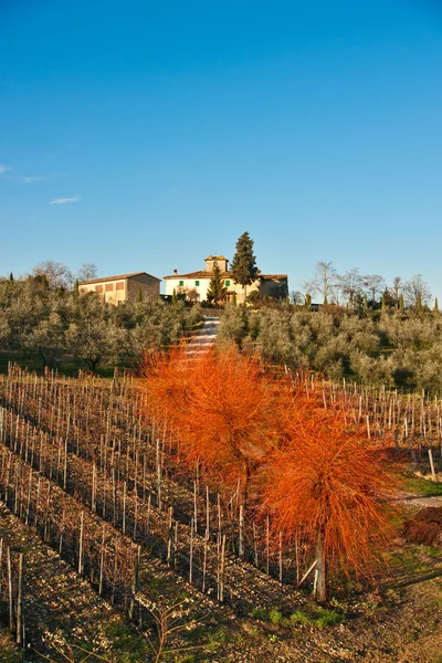 Toscana paisagem, Chianti área, Itália . — Fotografia de Stock
