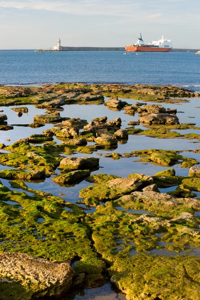 Porto di Livorno . — Foto Stock