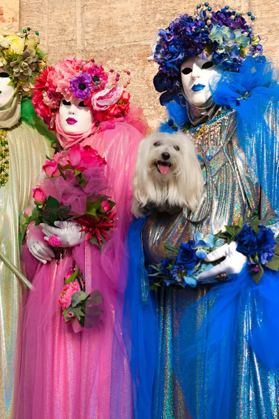 Venice Mask, Carnival. — Stock Photo, Image