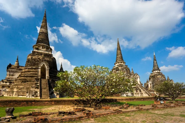 Wat Phra Si Sanphet, Ayutthaya, Tajlandia, — Zdjęcie stockowe
