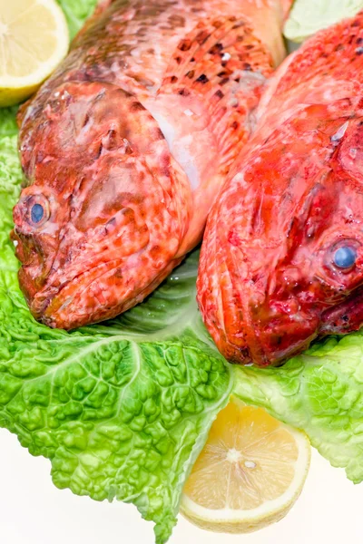 Peixe fresco com repolho e limão . — Fotografia de Stock